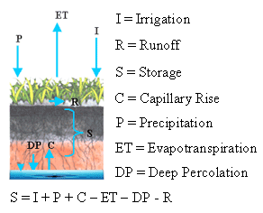 Picture illustrating how water evaporates from soil